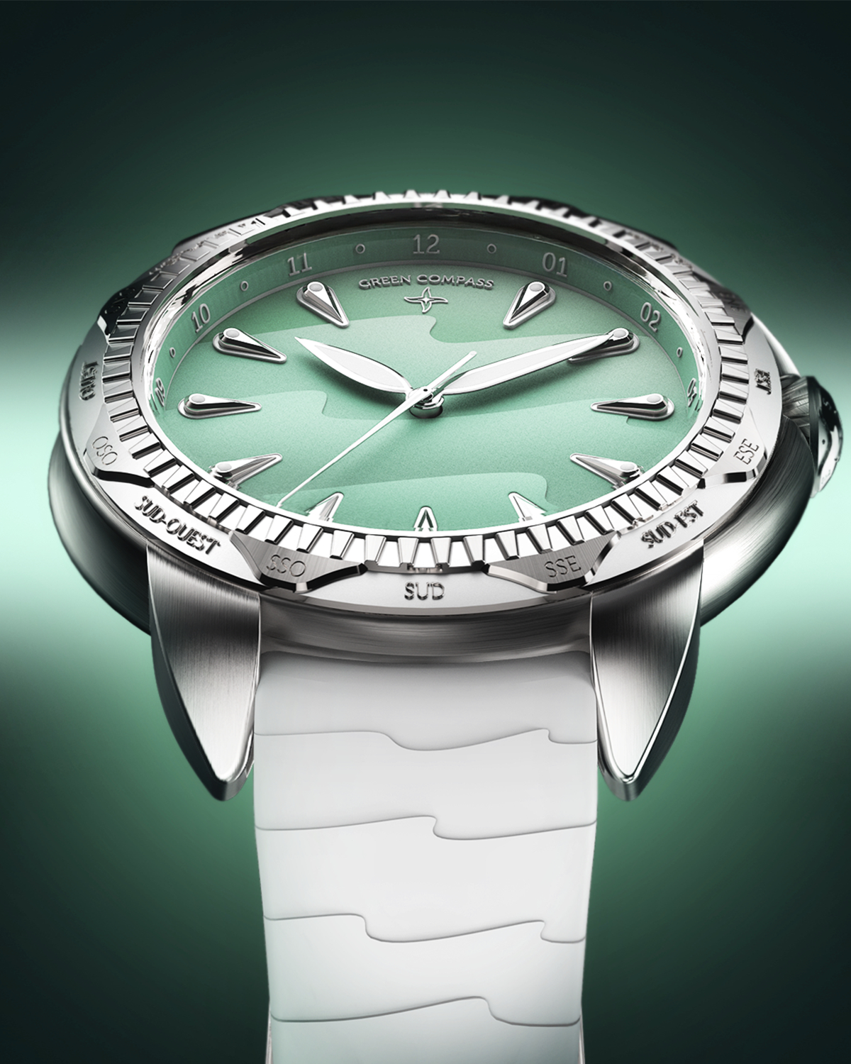 Green Compass Swiss portfolio image