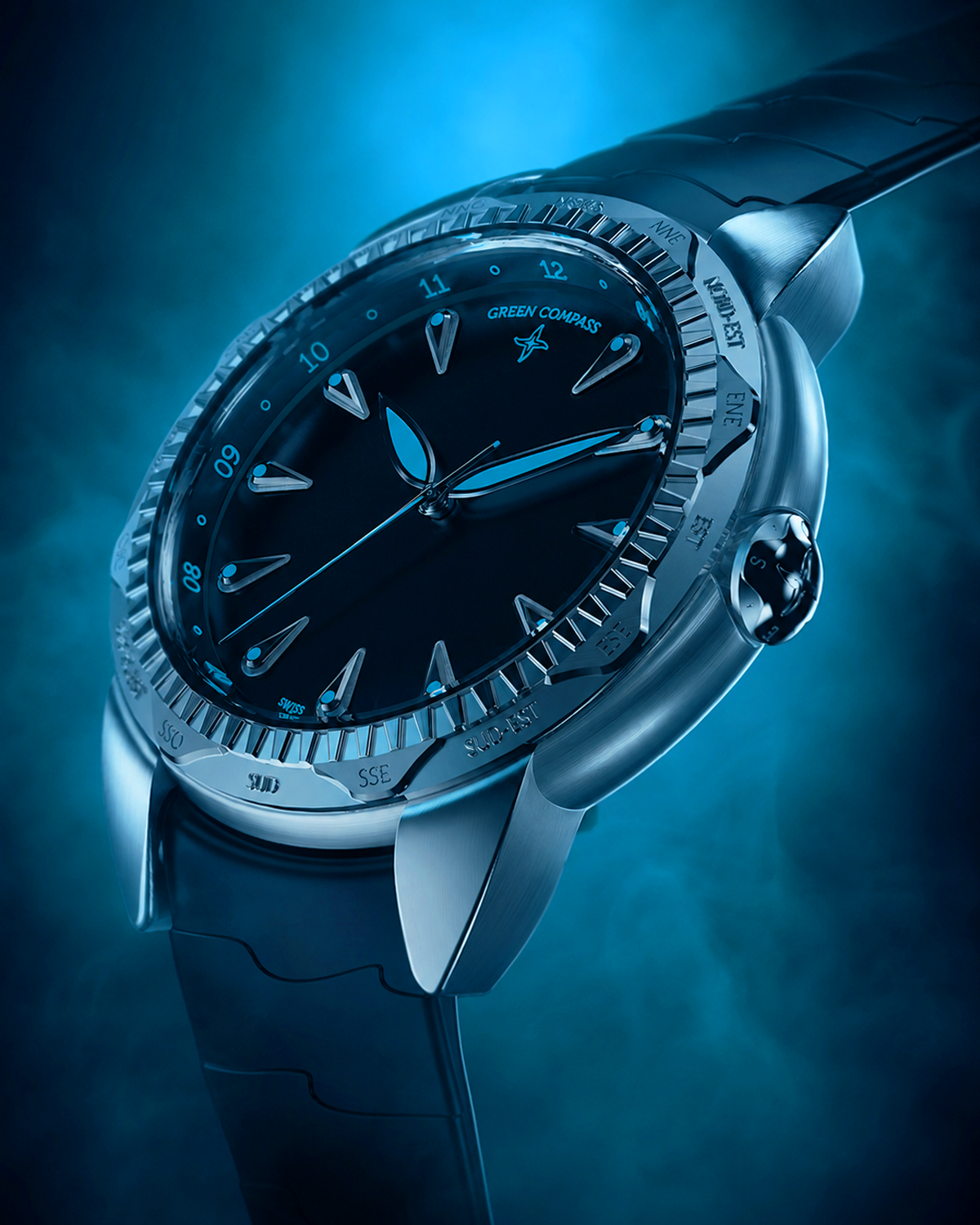 Green Compass Swiss portfolio image